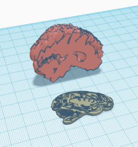 3D Brain Model – Introduction to 3D Printing and Design